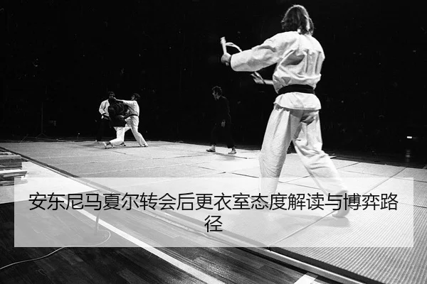 an-dong-ni-ma-xia-er-zhuan-hui-hou-geng-yi-shi-tai-du-jie-du-yu-bo-yi-lu-jing-2-424.jpg